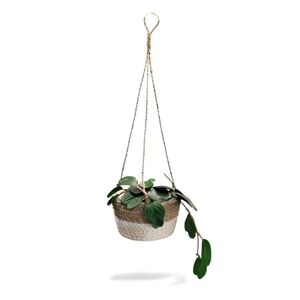 Classic Hanging Seagrass Basket in White /Natural